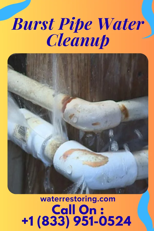 Burst Pipe Water Cleanup in Alpine, OR
