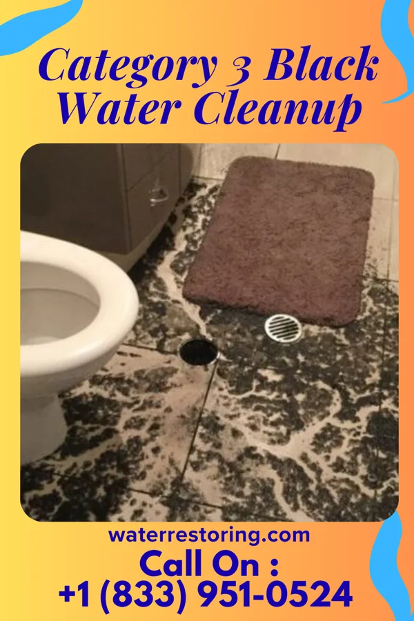 Category 3 Black Water Cleanup in Alpine, OR